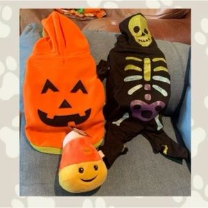 Dog accessories bundle